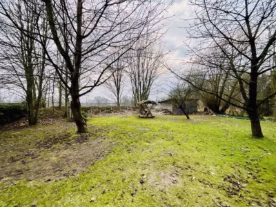 Hier lässt es sich leben: Gut aufgeteiltes EFH - Blick in den Garten (81748)