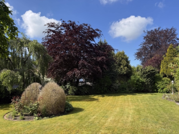Ruhiges Wohnen am Wald - Blick in den Garten (66079)