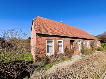 Schönes Landhaus mit großer Diele am Weserdeich - Straßenansicht (44496)