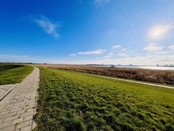 Schönes Landhaus mit großer Diele am Weserdeich - Weserblick (44521)