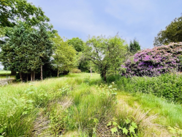 Herrlich großes Grundstück mit EFH und 2 Garagen - Blick in den Garten (57606)