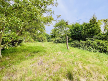 Herrlich großes Grundstück mit EFH und 2 Garagen - Großer Garten (57607)
