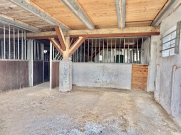 „Rohdiamant“ in idyllischer Lage am Ortsrand - Scheune/Stall Pferdebox (49747)