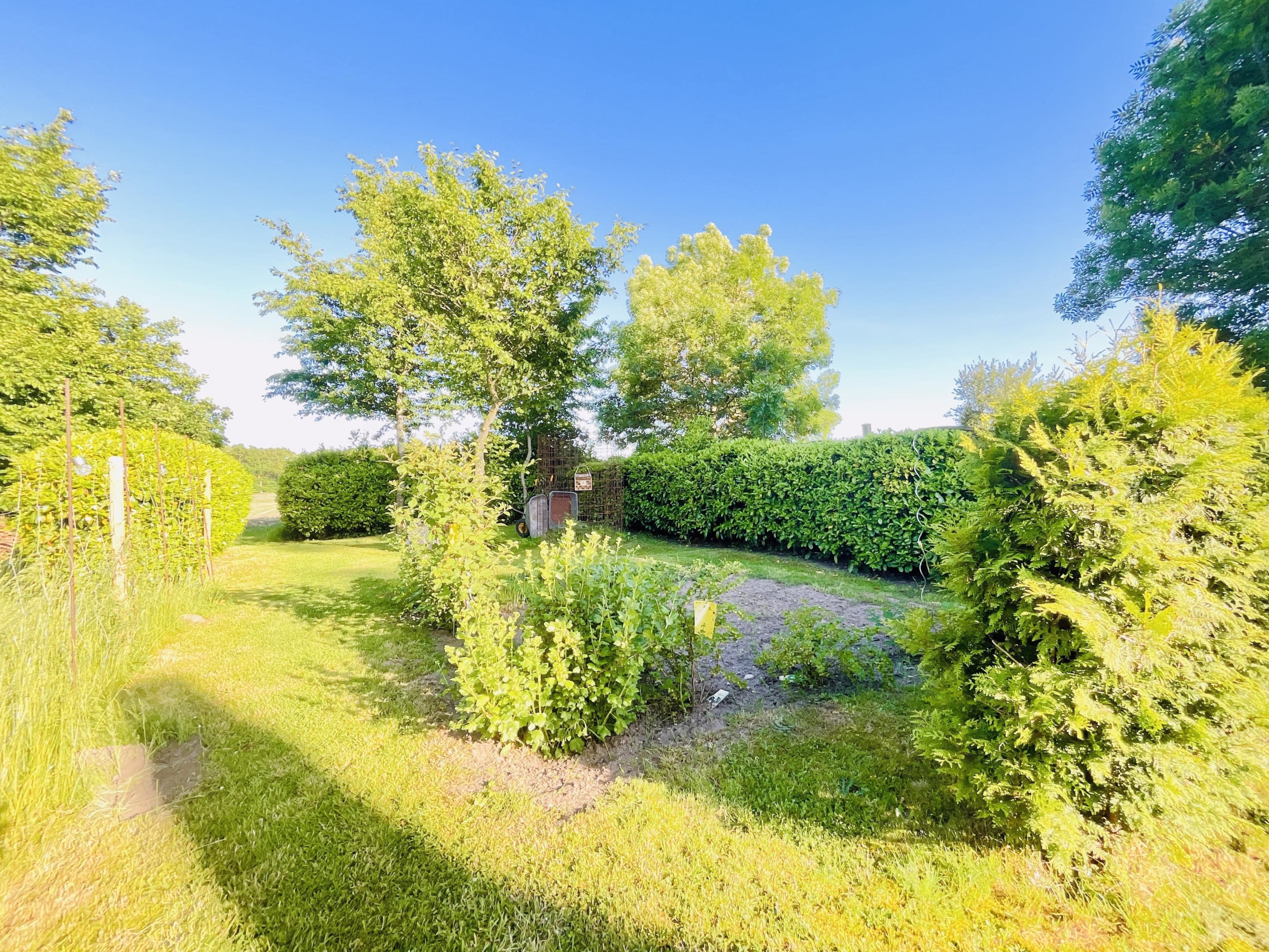 Gemüsegarten