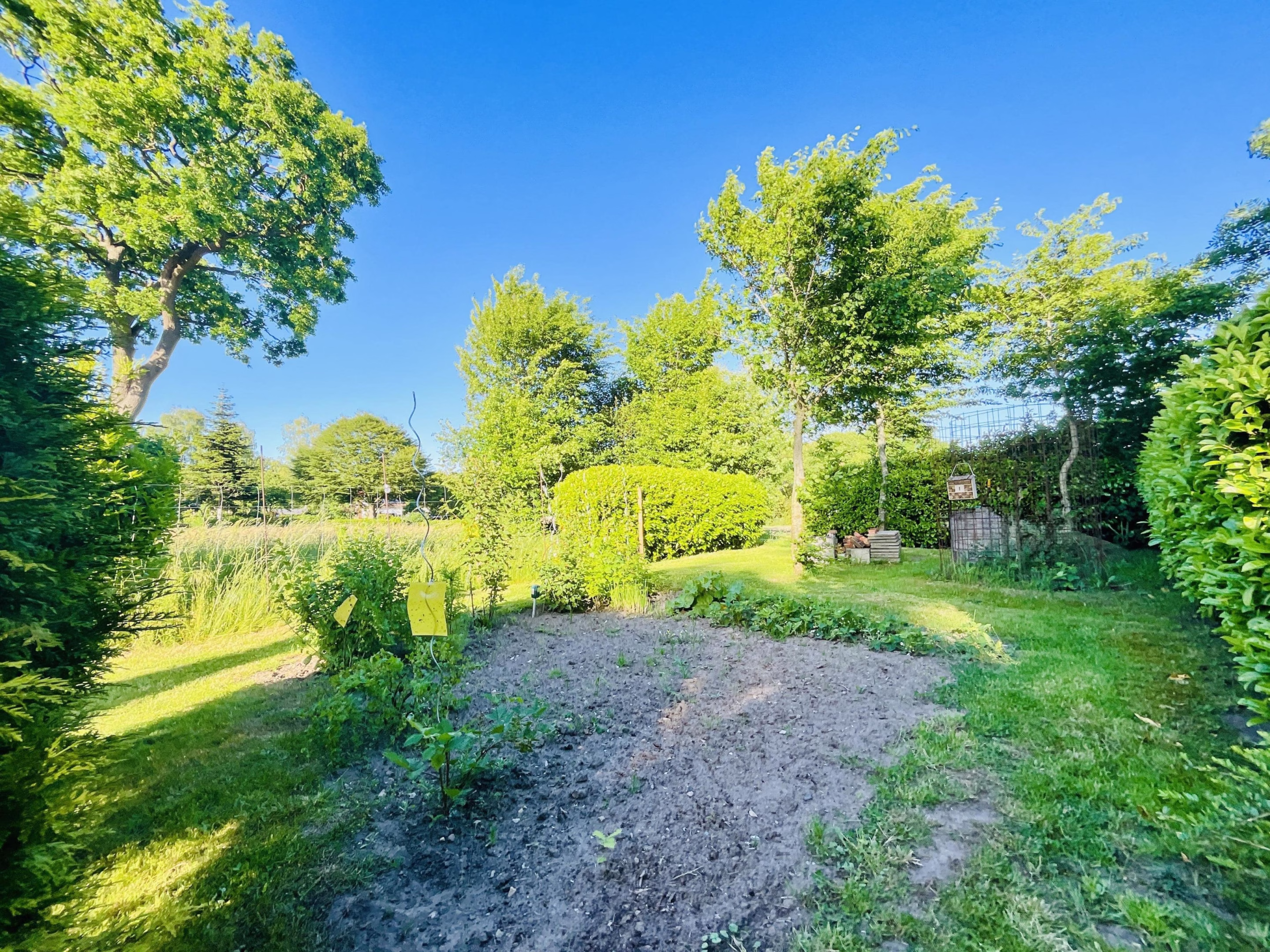 Gemüsegarten
