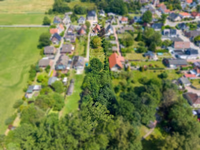 Großes Grundstück mit Altbestand -Schiffdorferdamm - Drohnenaufnahme Rückansicht (77847)