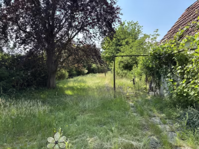 Großes Grundstück mit Altbestand -Schiffdorferdamm - Garten (77863)