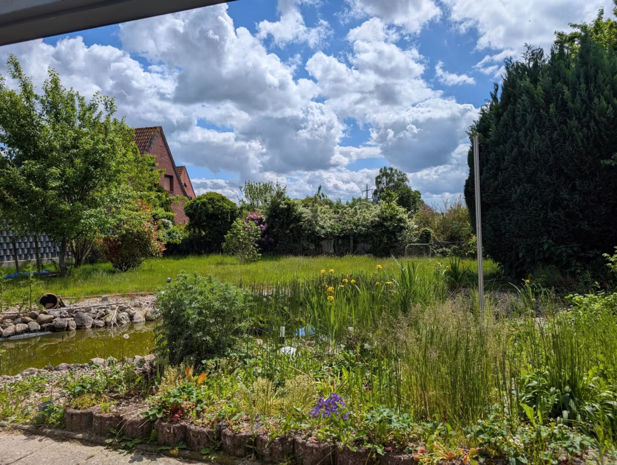 Blick in den Garten