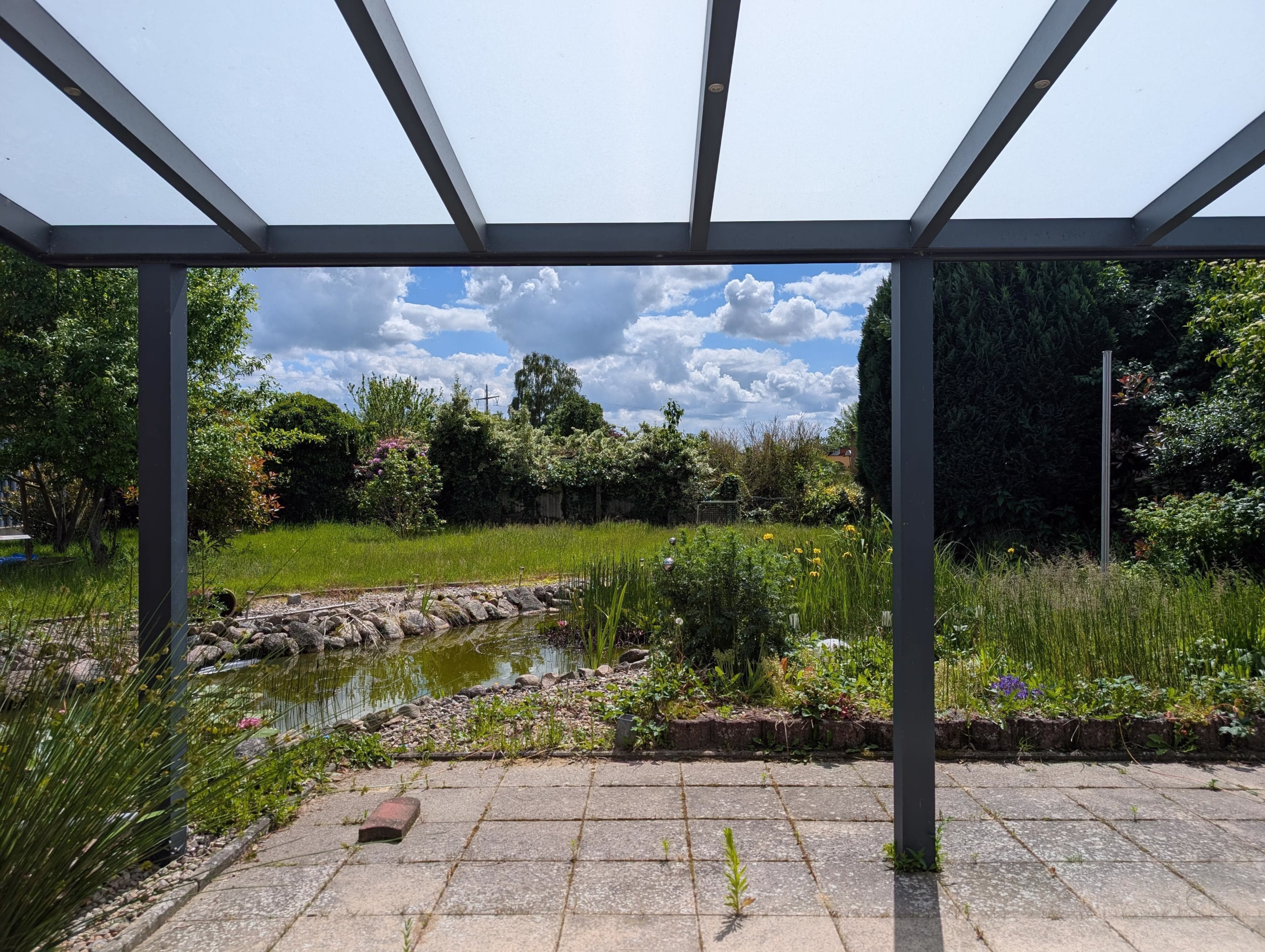 Blick in den Garten