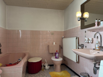 Haus + Wintergarten + Ausbaureserve im Mischgebiet - Badezimmer (56221)