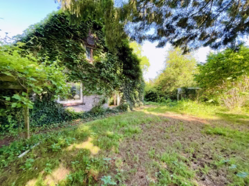 Ihr neues Zuhause: Eine DHH der besonderen Art - Blick von der Terrasse (77301)