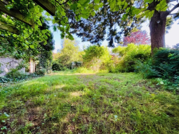 Ihr neues Zuhause: Eine DHH der besonderen Art - Garten seitlich am Haus (77302)