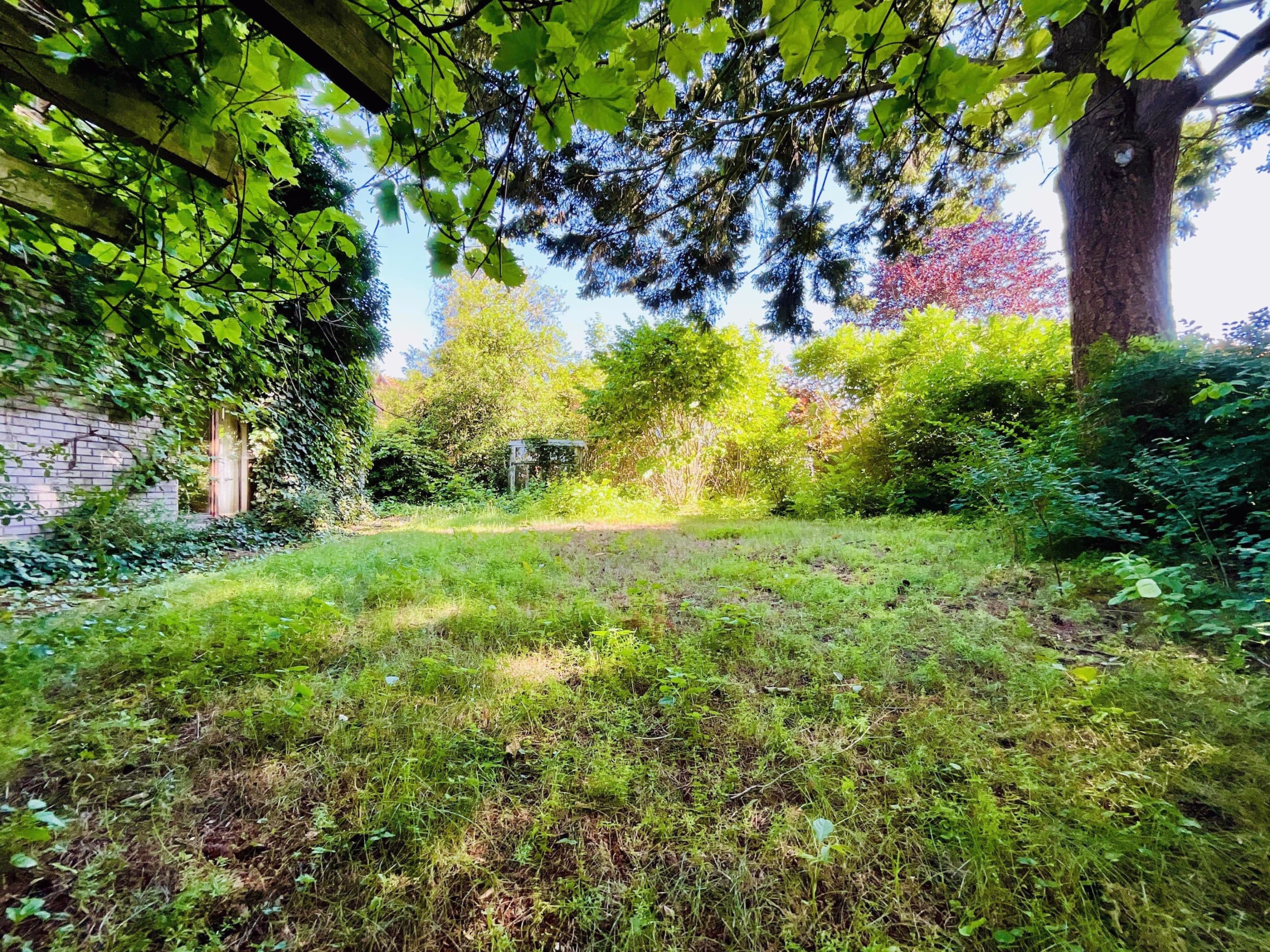 Garten seitlich am Haus