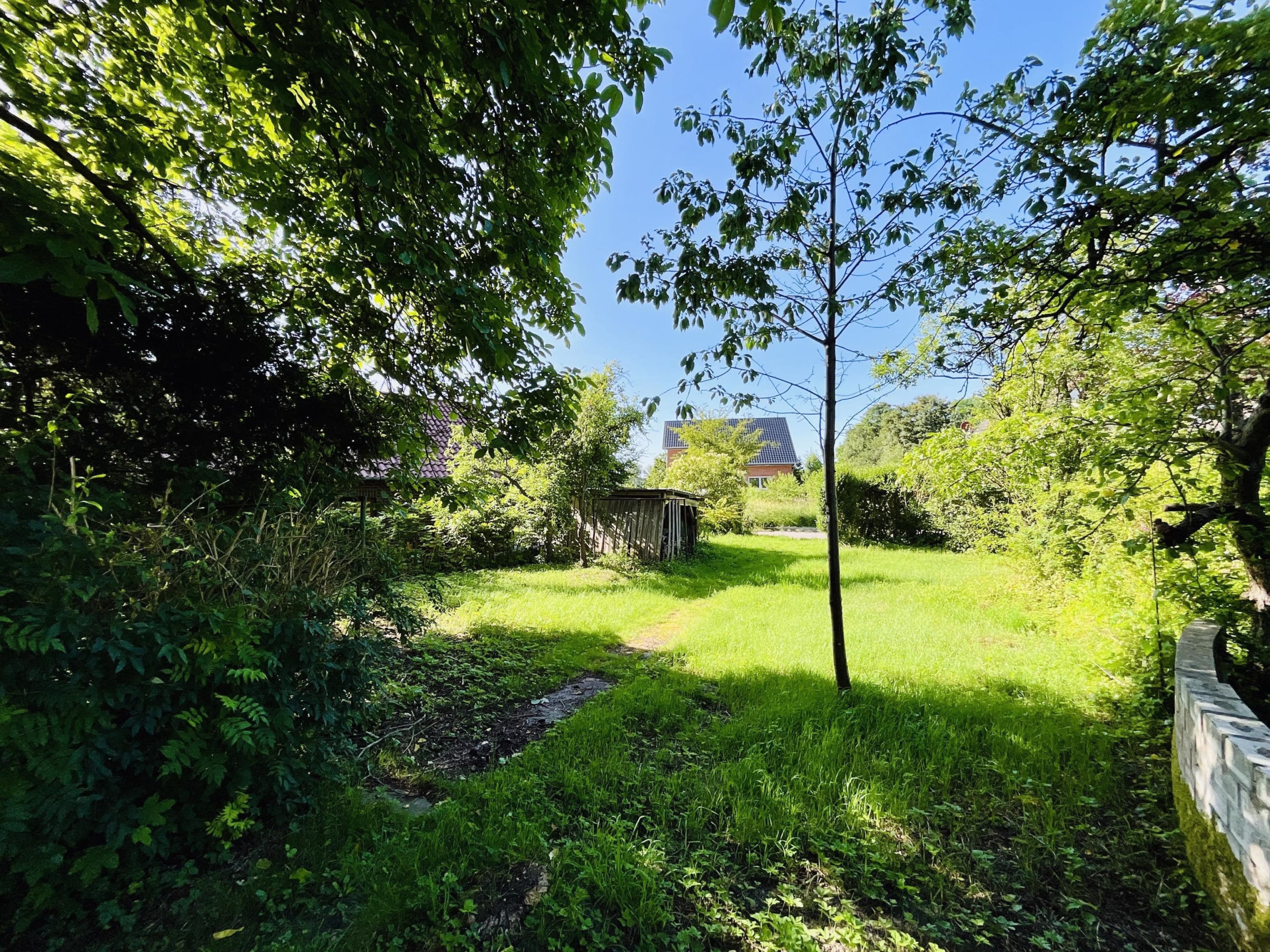 Blick in den eigenen Garten