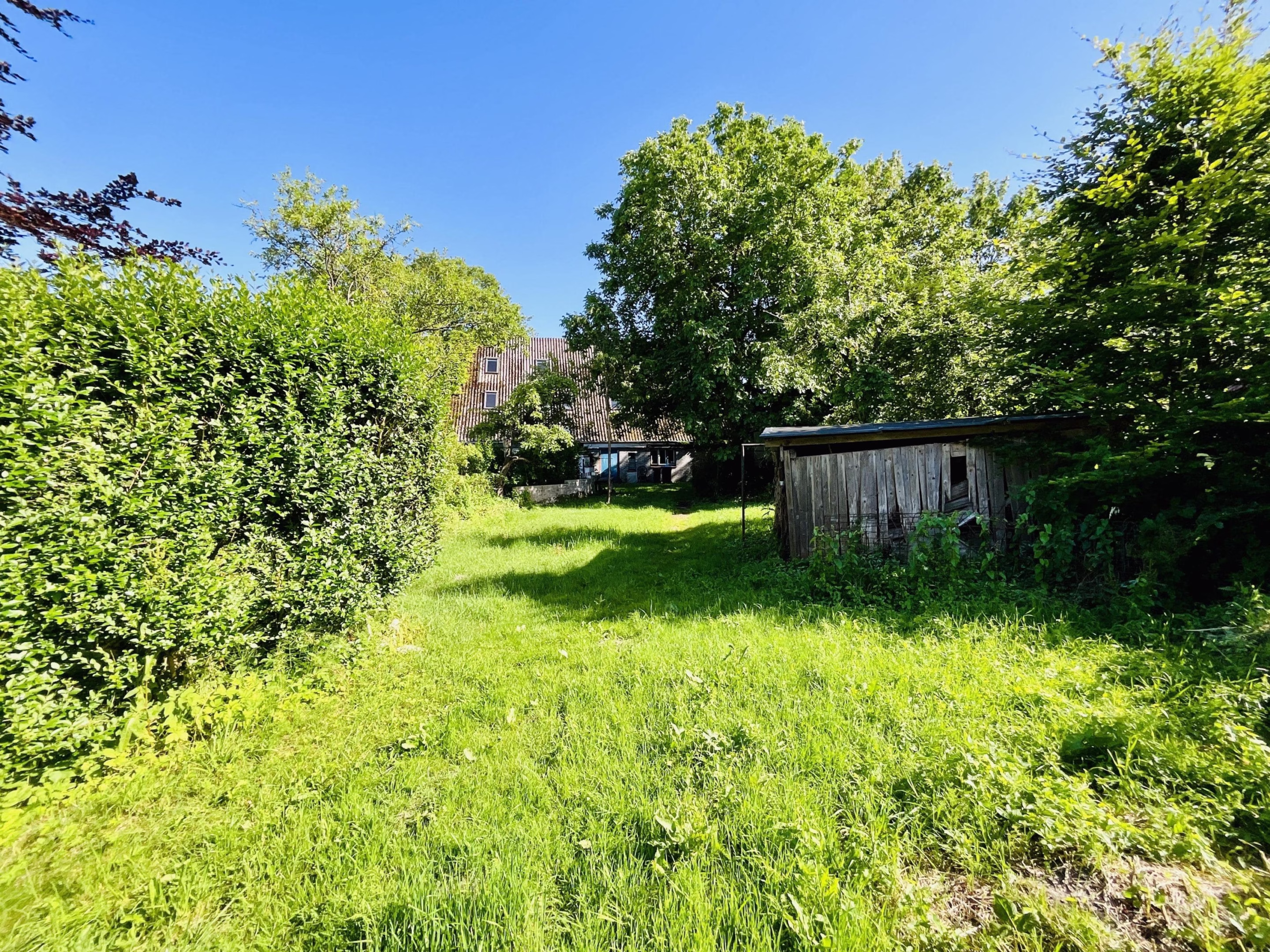 Garten hinter dem Haus