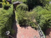 Blick in den Garten