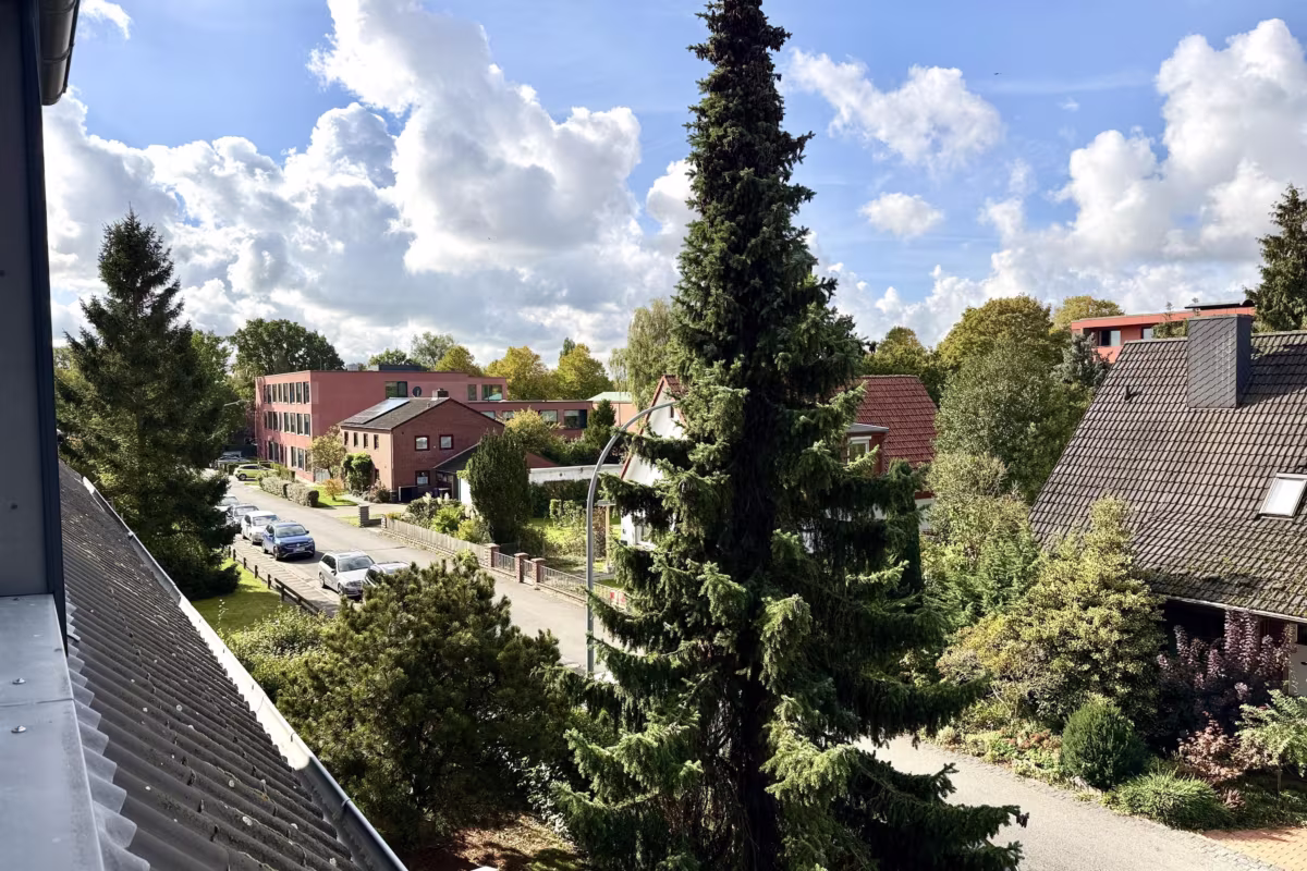 Ausblick Richtung Straße