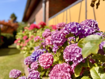 Ihr Wohntraum: Bungalow in begehrter Ruhelage - Garten (70699)