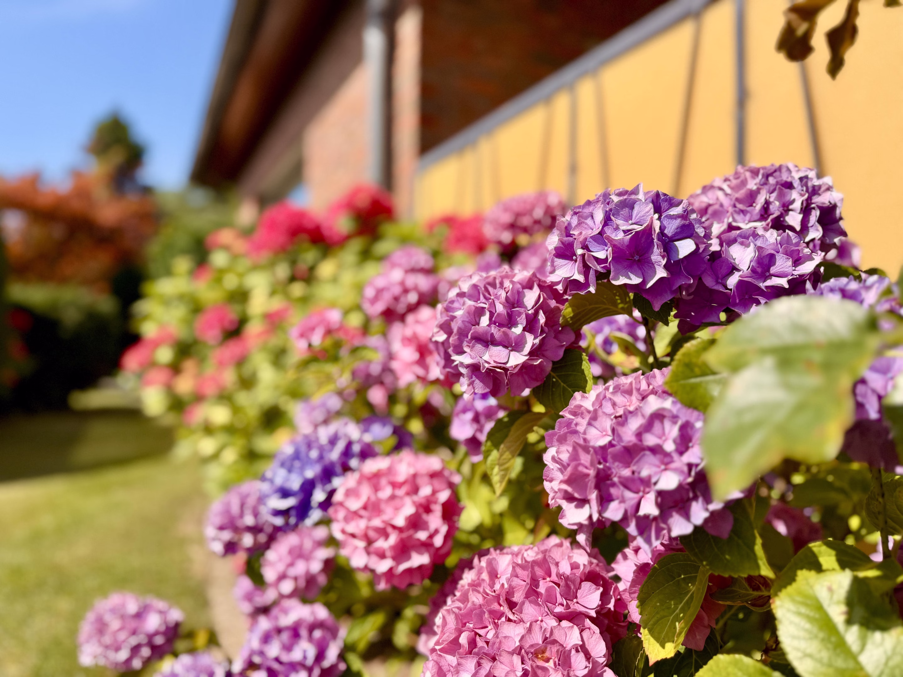 Garten