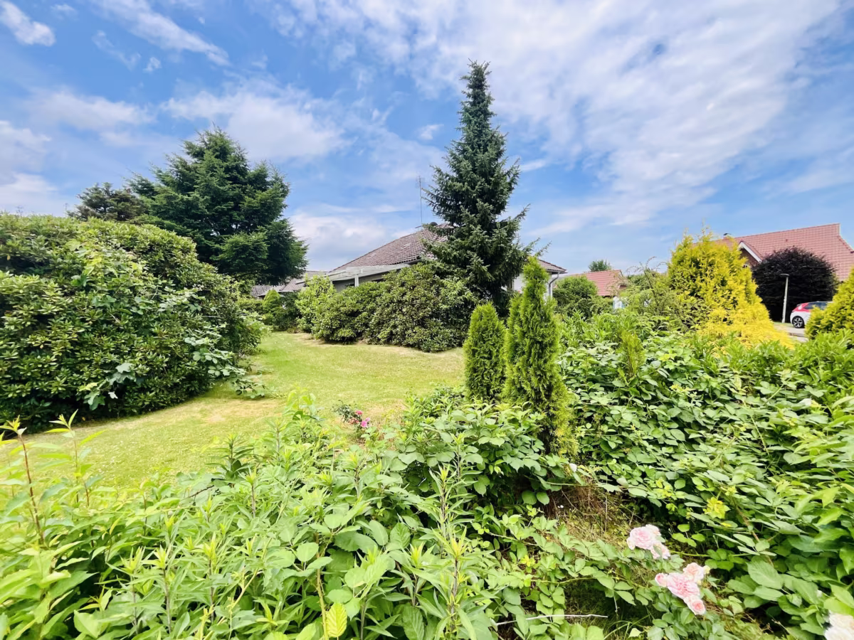 2: Blick in den Garten