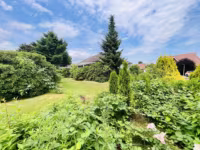 2: Blick in den Garten