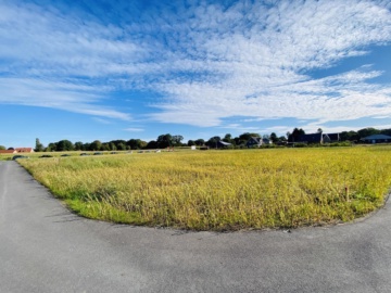 Dein Bauplatz – dein Traum vom eigenen Zuhause! - Baugebiet Littheide-West (42658)