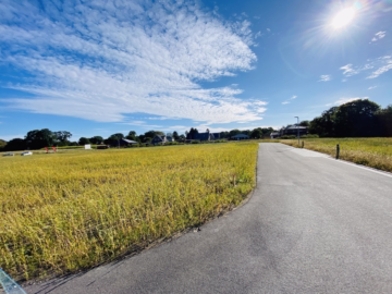 Dein Bauplatz – dein Traum vom eigenen Zuhause! - Baugebiet Littheide-West (42659)