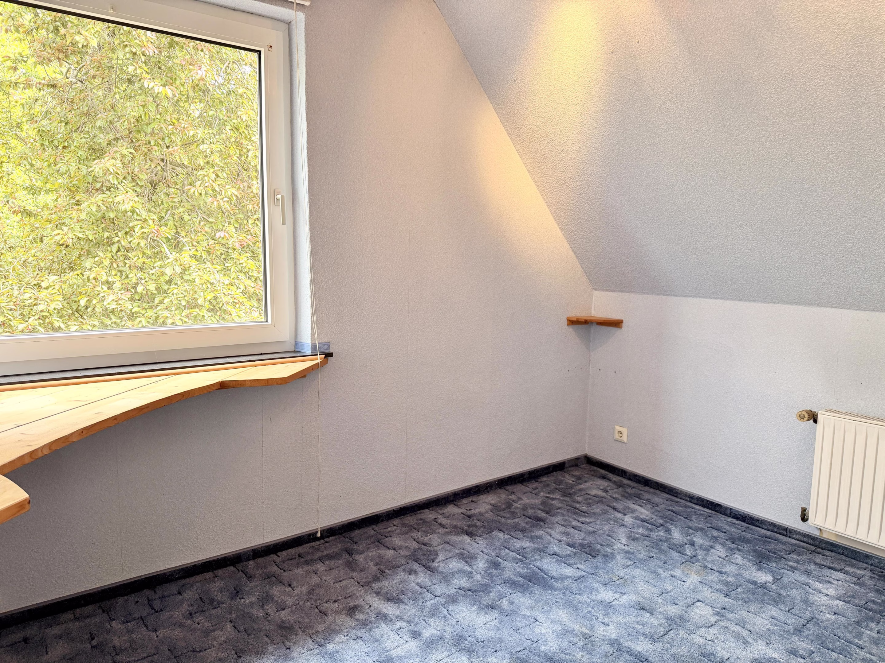 Zimmer DG