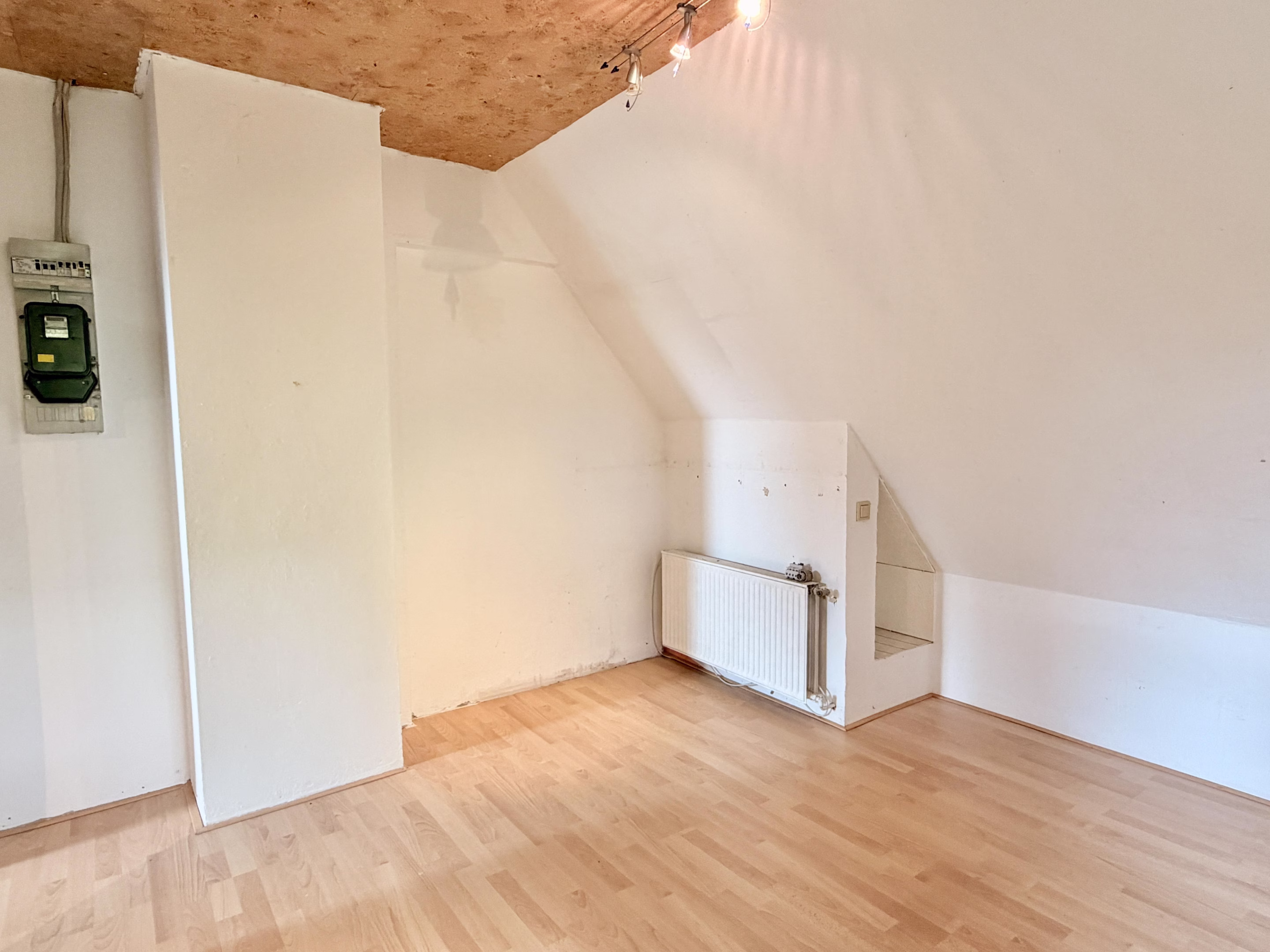 Zimmer DG