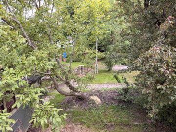 Familienhaus mit großem Grundstück & Potenzial - Blick in den Garten (61656)