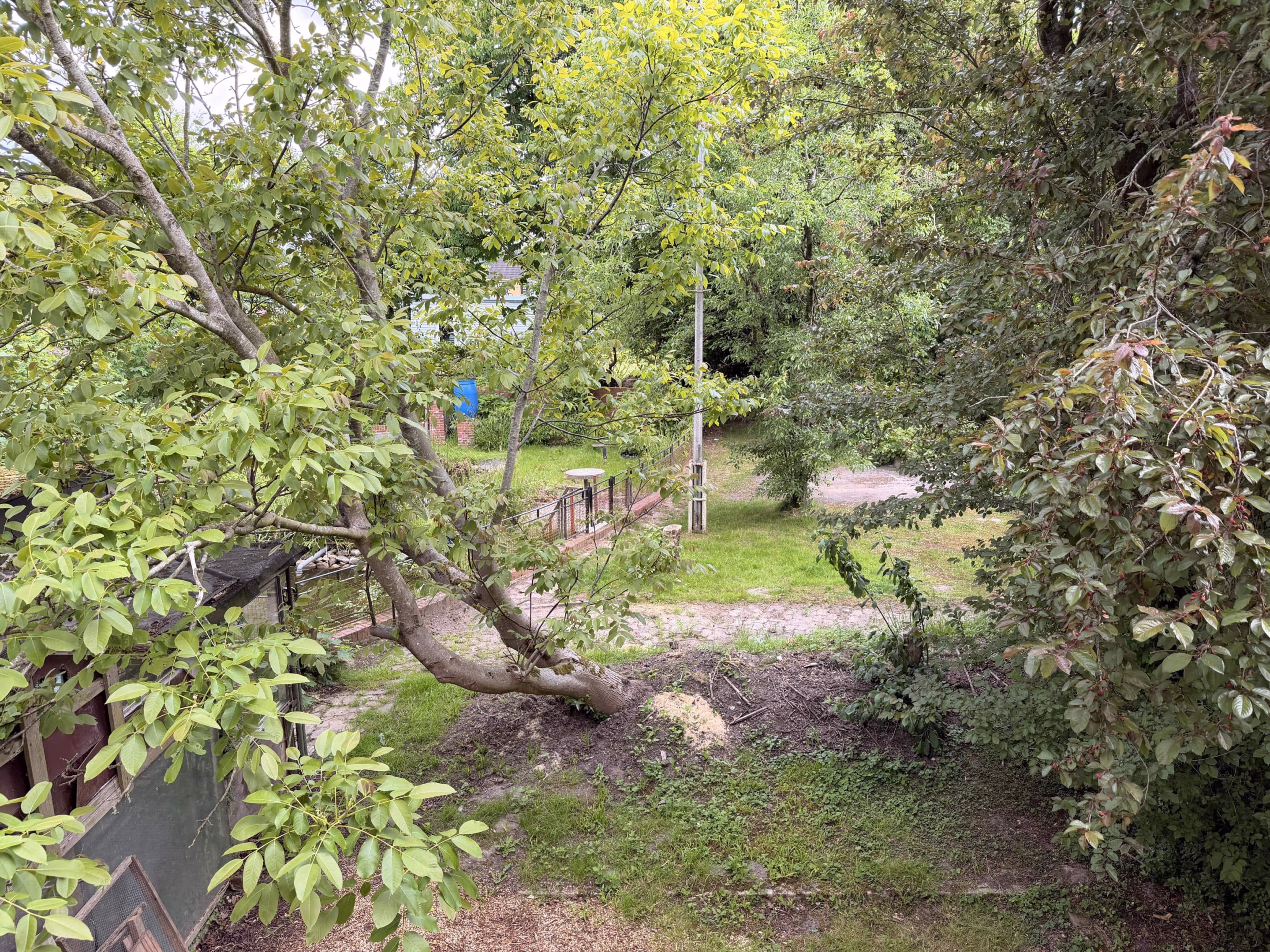 Blick in den Garten