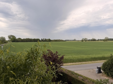 Familienhaus mit großem Grundstück & Potenzial - Blick über die Felder (61661)