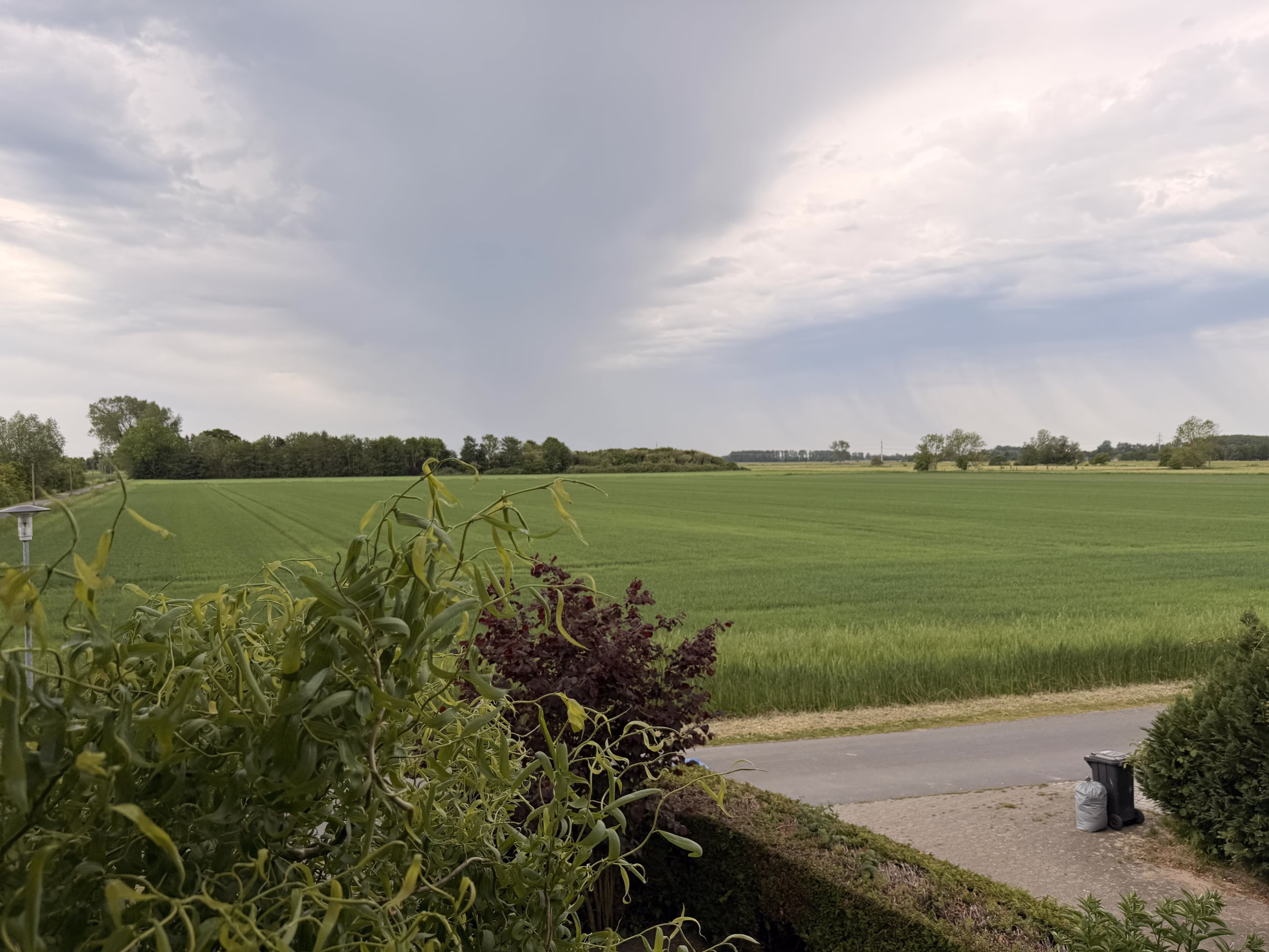 Blick über die Felder