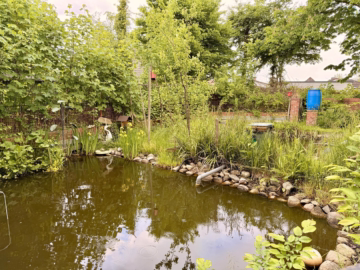Familienhaus mit großem Grundstück & Potenzial - Garten mit Teich (61638)