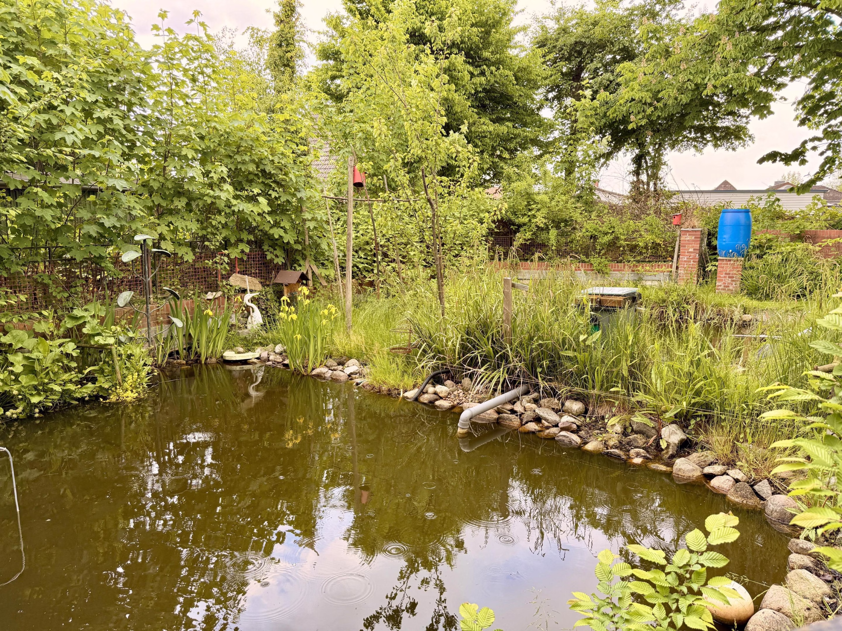 Garten mit Teich