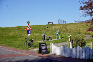 Seltenes Schmuckstück in Otterndorfer Deichnähe - Blick auf den Deich (37158)