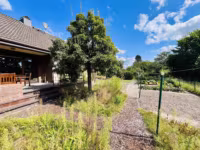 Garten hinter dem Haus