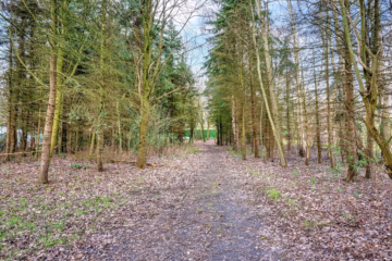 Familienhaus mit 2-3 Wohneinheiten & großem Garten - Eigenes Waldstück (46586)