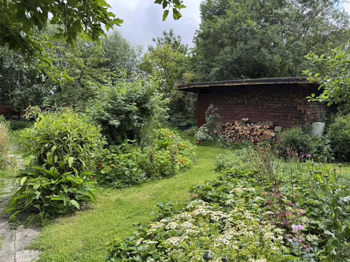 Garten und Geräteschuppen