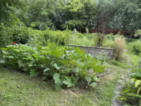 Blick in den Garten