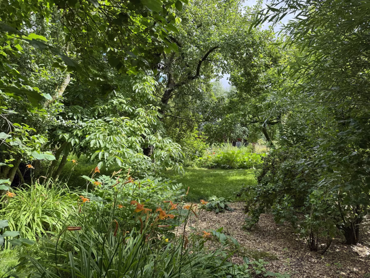 Garten