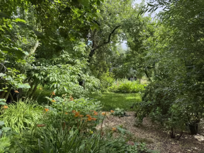 Leben und vermieten hinterm Deich - Garten (81374)