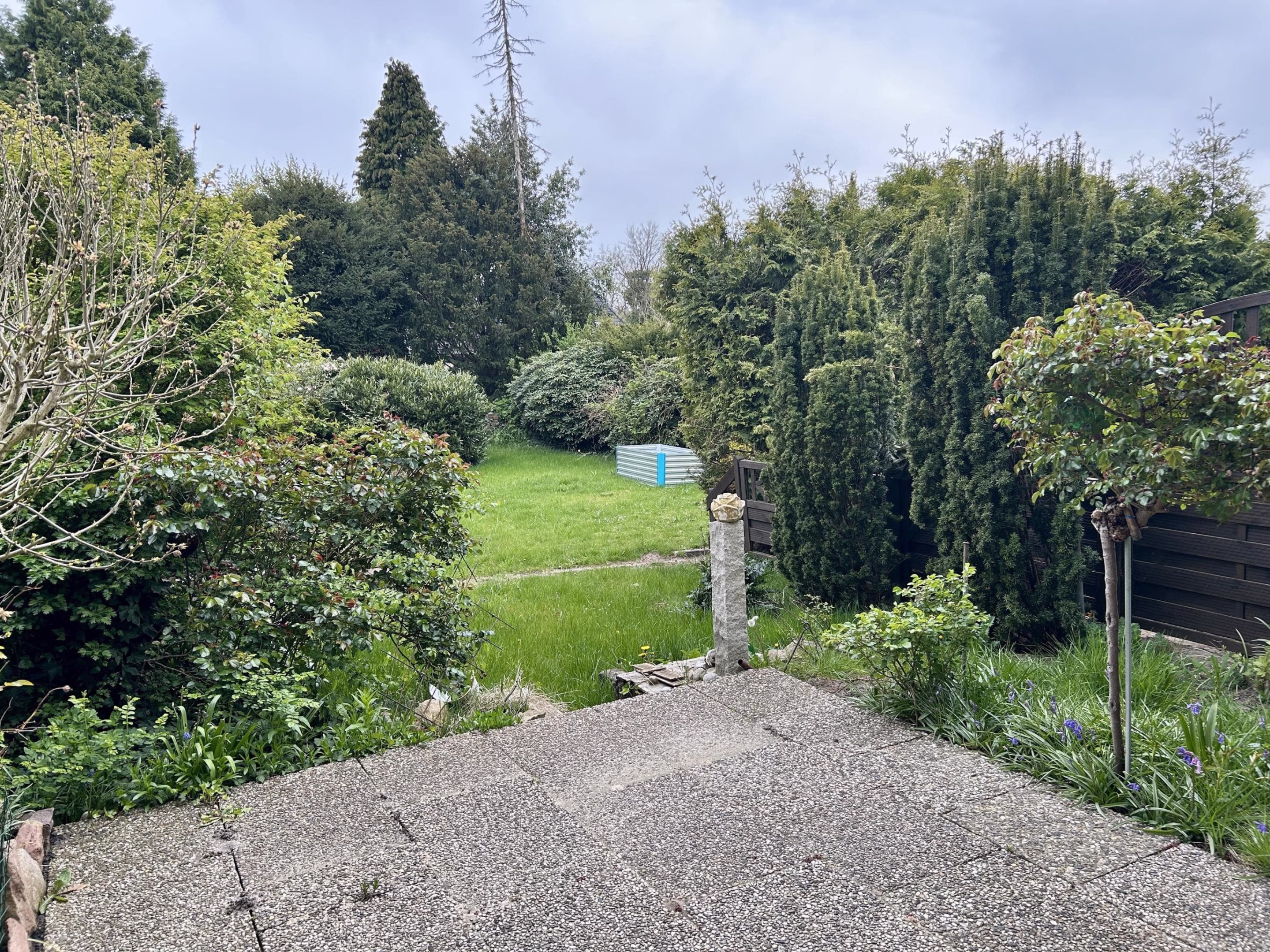 Blick in den Garten